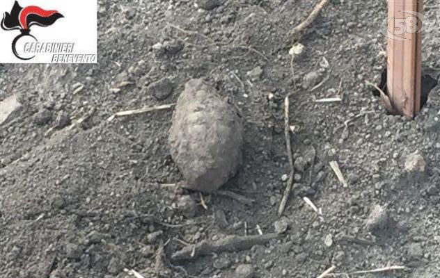 Calvi, scoperta dai carabinieri una bomba a mano in un campo arato