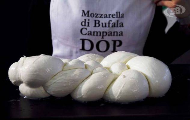 Mozzarella di bufala, in Campania salgono i consumi