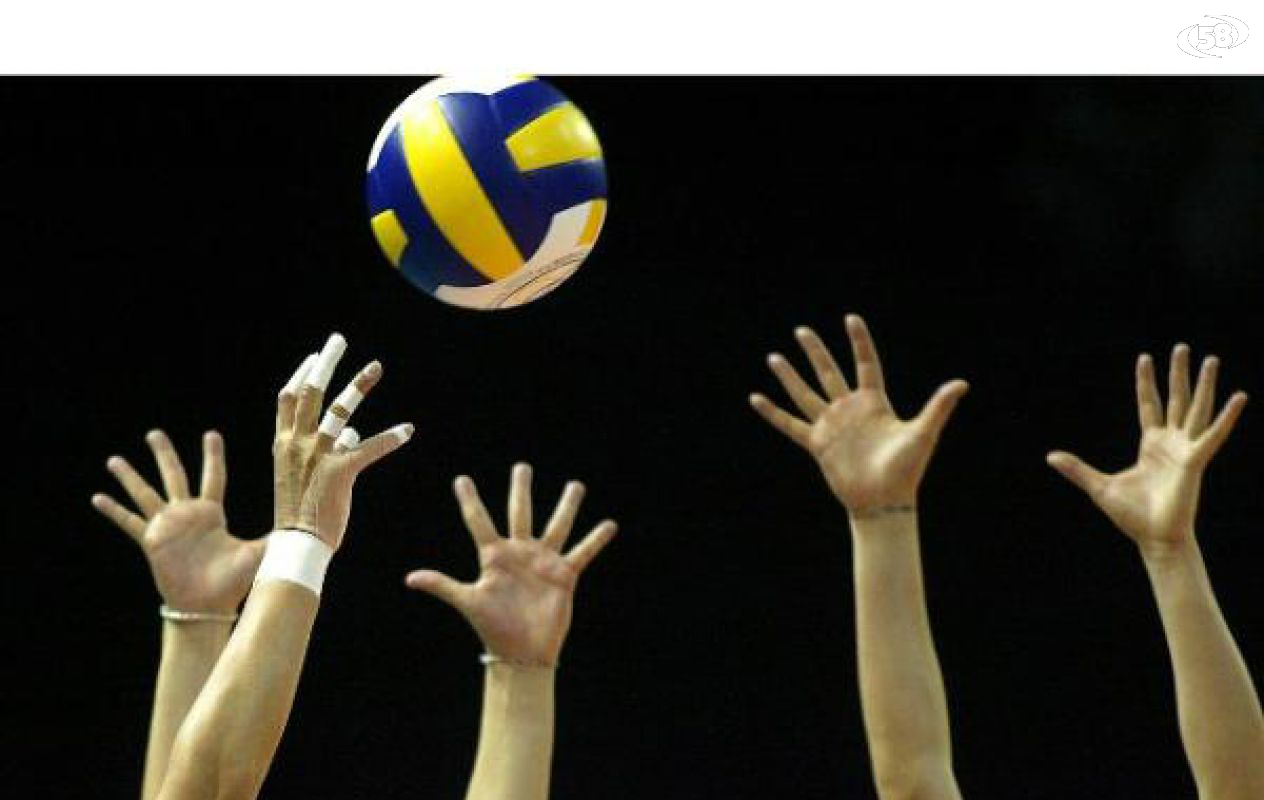 pallavolo pallavolo