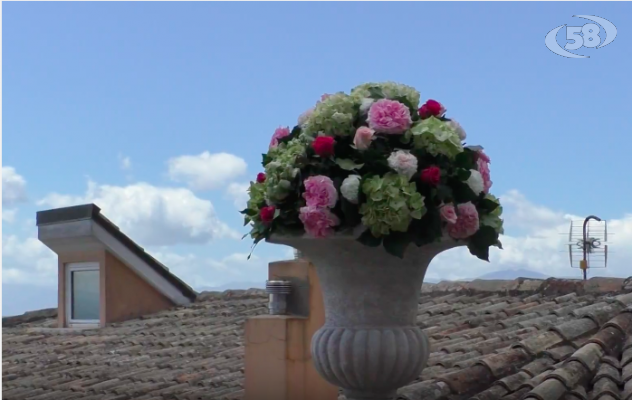 Florariano, il Tricolle sembra Sanremo: città invasa da fiori e piante /VIDEO