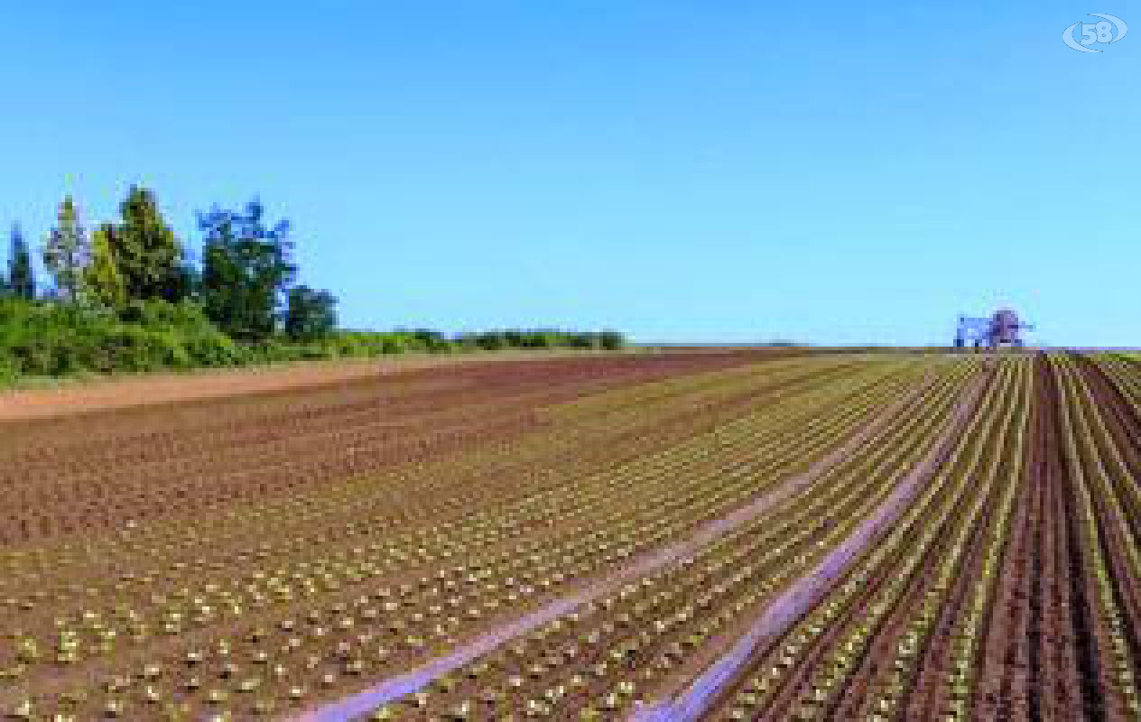 agricoltura agricoltura