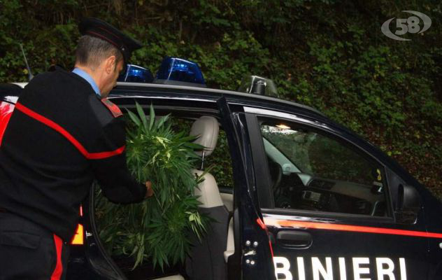 Armi e droga, blitz dei carabinieri: preso un 40enne