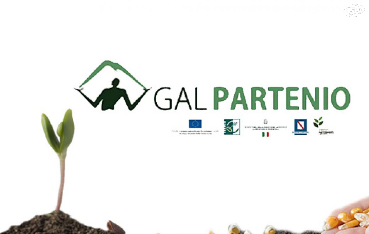 Gal Partenio Gal Partenio