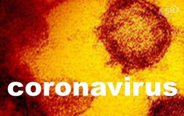 Ianniello: "L'ordine dei medici in prima linea per combattere il Coronavirus". Adottato protocollo operativo