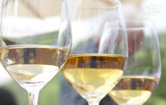 BianchIrpinia, successo per la cinque giorni vinicola. 41 le aziende partecipanti