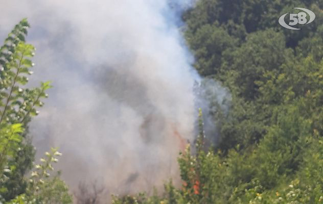 Incendi, distrutti 138 ettari di terreno. “C’è una strategia criminale”