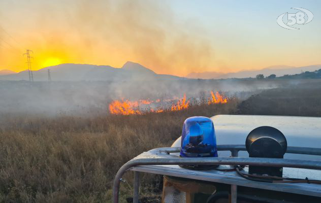 Incendi boschivi in oltre 58 ettari di terreno, fiamme domate dall'Aib della Provincia