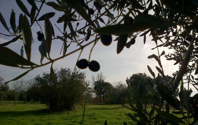 Una preziosa raccolta