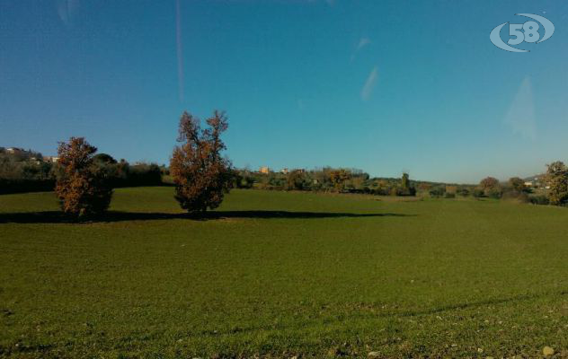 Flumeri, agricoltori a secco. Pozzo contaminato da tetracloroetilene