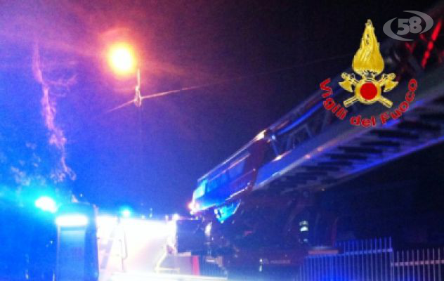 Scappa dal trespolo: caschi rossi salvano pappagallo 