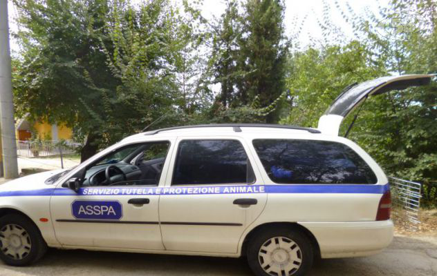Ariano, lotta al randagismo: nasce il pronto intervento ASSPA