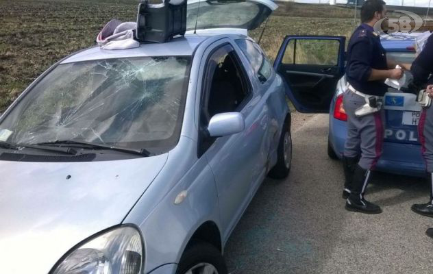 Ariano, rocambolesco inseguimento/FOTO. Fuggitivo in manette