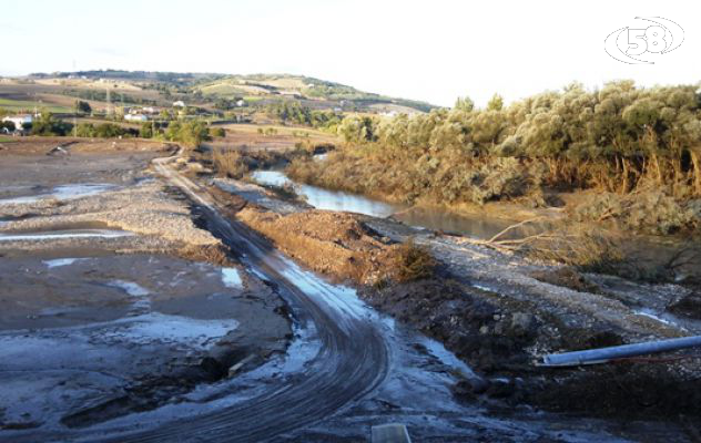 Alluvione Sannio, D'Amelio: sì a legge regionale per dare risposte