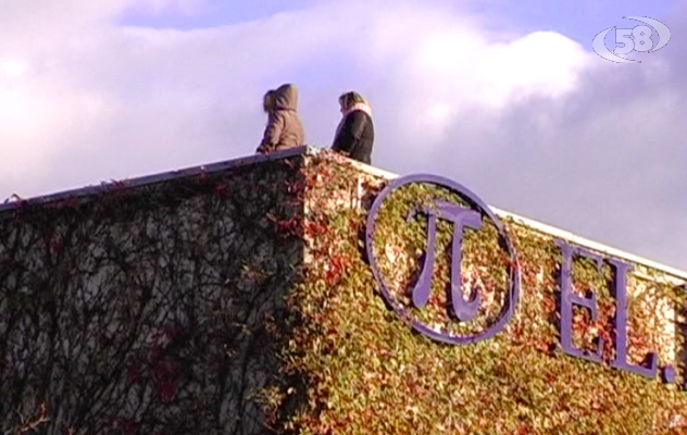 Elital, donne sul tetto della fabbrica: ''Vogliamo gli stipendi''/VIDEO