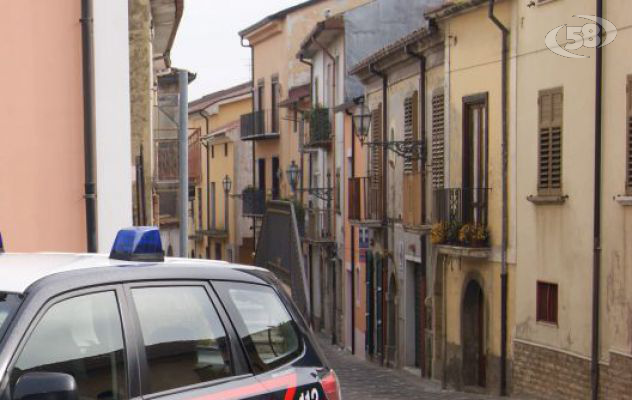 Topi d'appartamento messi in fuga dai Carabinieri
