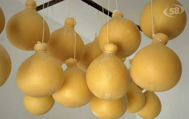 Il caciocavallo va a ruba, ladri inseguiti e ''bottino'' recuperato