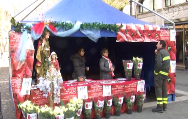 L'Ail contro le leucemie, volontari in piazza ad Avellino/VIDEO
