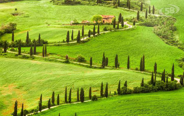 Bene gli agriturismi, presenze in crescita del 25%