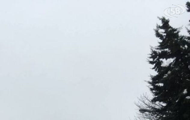 Controlli in forni, pastifici e pasticcerie del Tricolle/VIDEO