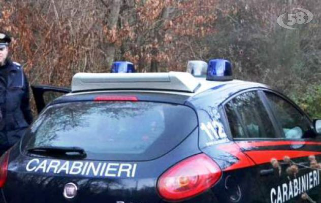 San Mango, abbatte quattro cinghiali nelle campagne: denunciato bracconiere