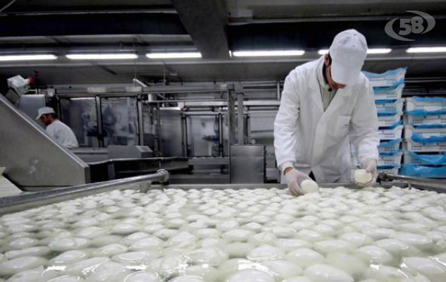 Mozzarelle avariate pronte per essere immesse sul mercato: merce sequestrata