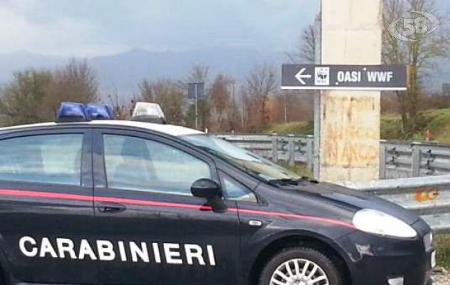 Bracconaggio e munizioni abusive, denunciate tre persone