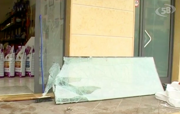 Ordigno contro un negozio di animali: paura ad Avellino