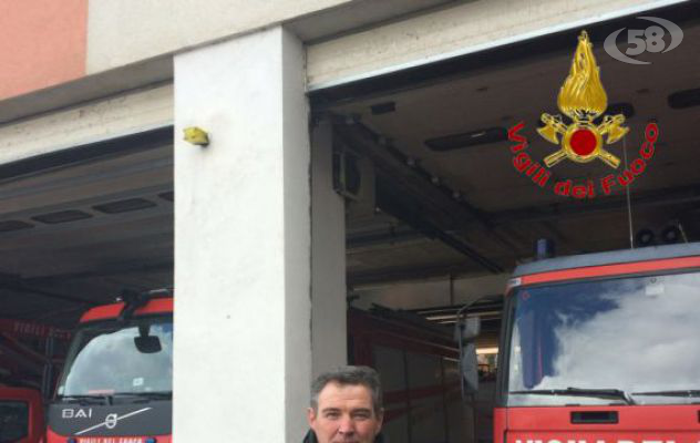 Vigili del Fuoco salvano un falco pellegrino