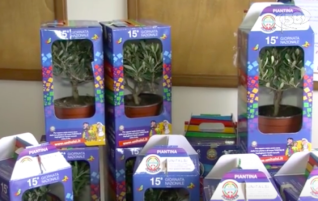 Solidarietà, Ariano e Grottaminarda protagoniste della giornata nazionale Unitalsi