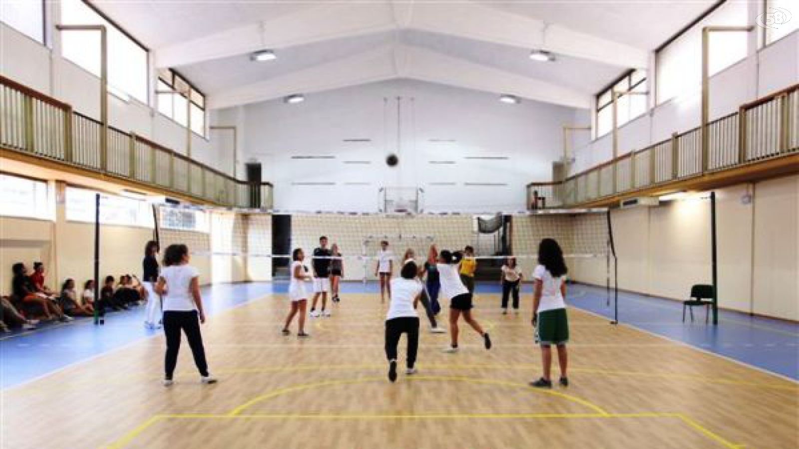 palestra