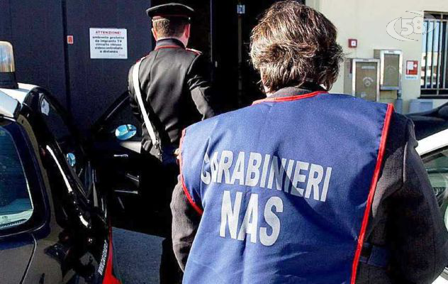 Blitz dei Nas in Irpinia, sequestrati 20 mila chili di carne