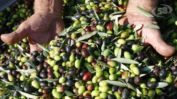 Rilancio dell’agricoltura in 12 punti: le proposte di Confagricoltura Campania ai candidati in corsa per la presidenza della giunta regionale