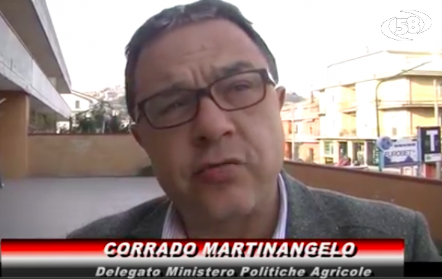 Martinangelo: ''L’olio dell'Ufita va tutelato. Presto soluzioni per i forestali''