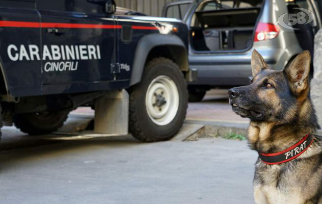 Ariano, blitz anti droga a Savignano e Grotta: due nei guai