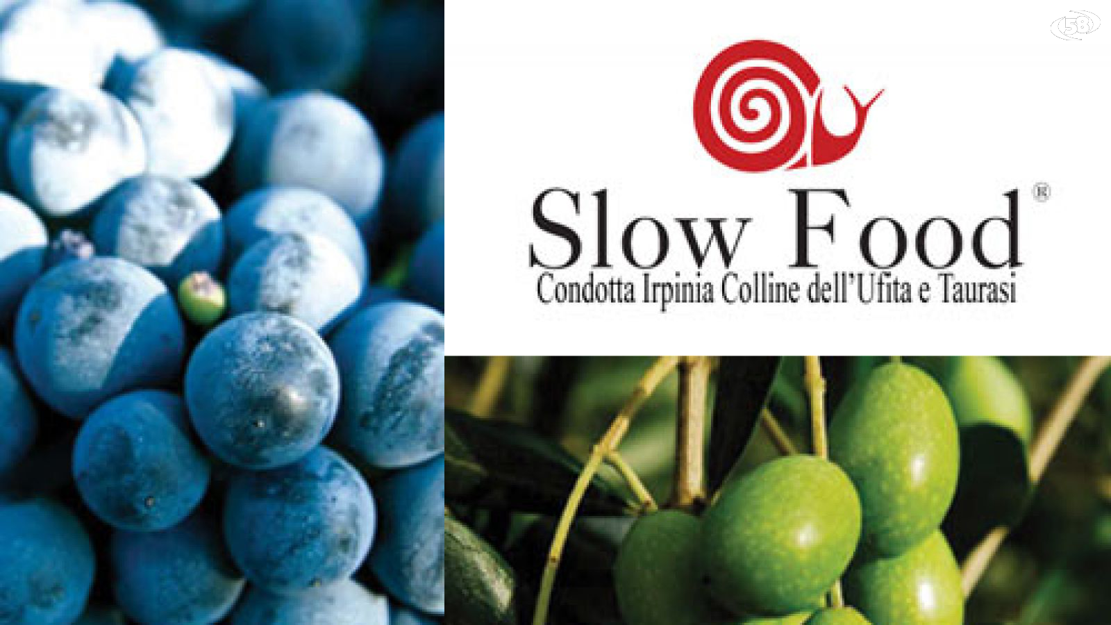 slow food