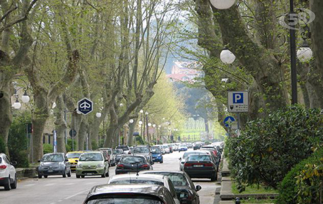 C'era una volta la città dei platani, giù altri 10 alberi