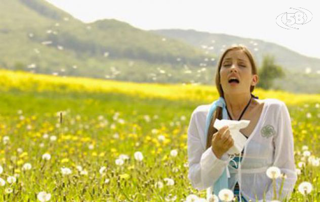 Allergie e malattie respiratorie, convegno a Villamaina