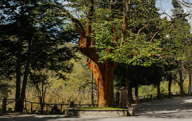 Ariano, volontariato ecologico contro l'inciviltà: in campo gli ''Amici di Valleluogo''