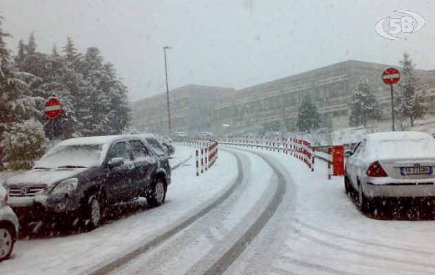 Emergenza neve, Amendolara: gli indennizzi ci saranno  VIDEO