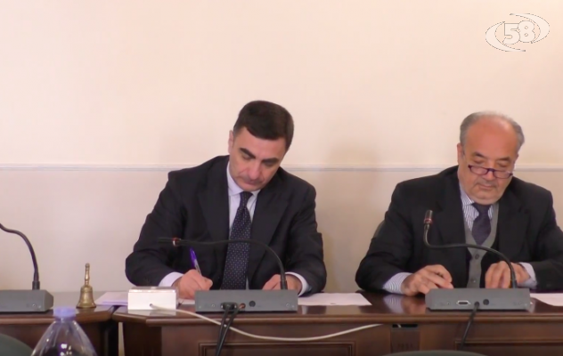 Gelate, danni ai vigneti: Provincia chiede aiuto alla Regione