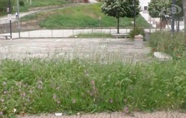 Grottaminarda, gruppi di volontari in campo per ripulire la città