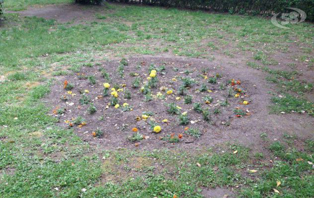 Ariano, aiuole deturpate: Comune corre ai ripari. Resta la rabbia