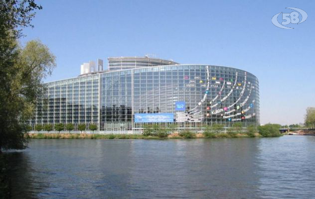 Europee, in pole Sandra Mastella ma nel Sannio nessun parlamentare/VIDEO