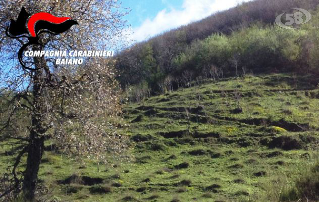 Lavori abusivi in area protetta, 50 mila euro di multe