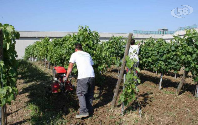 Università del Sannio - Dentro e fuori le mura, anche l'Irpinia è protagonista