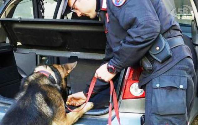 Droga nel garage, 28enne di Altavilla nei guai