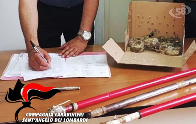 Cardellini nascosti sotto il sedile, tre denunce