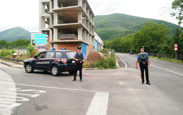 Quadrelle, fanno sparire venti gatti: denunciate due persone