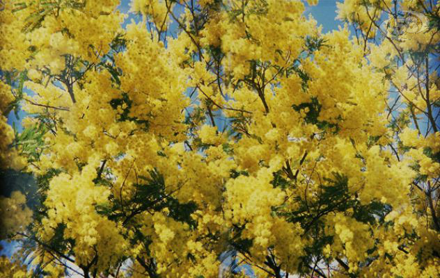 8 marzo, ad Ariano il convegno sull'emancipazione femminile