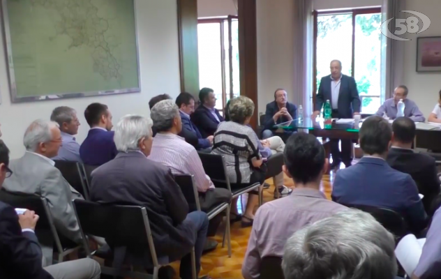 Asi, ok al bilancio. Il piano di Siringano per salvare il Consorzio 